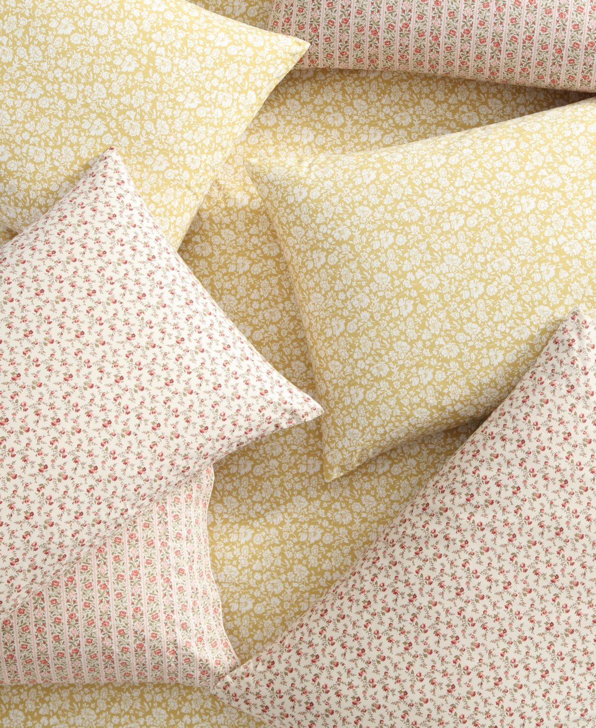 Laura Ashley 200 Thread Count Sweet Success Cotton Percale Sheet Set In Sweet Success