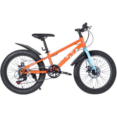 Streamdale Kids' Fat Tire Mountain Bike with Dual-Disc Brakes