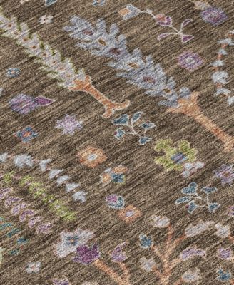 Addison Chantille Machine Washable Acn1152 Rug Collection In Brown