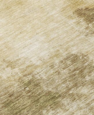 Chantille Machine Washable ACN1070 2'6"x3'10" Area Rug