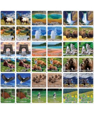 Jr. Ranger - Yellowstone Matching Game