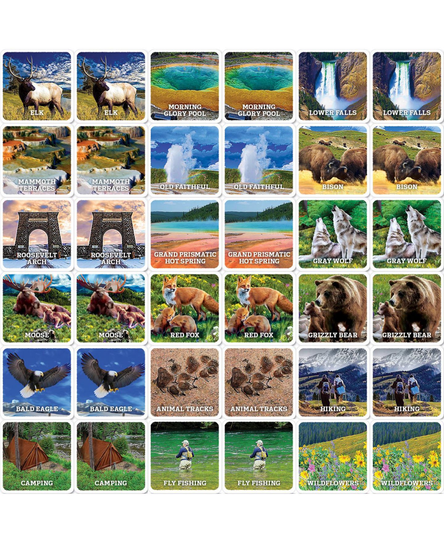 Детская настольная игра MasterPieces Puzzles Jr. Ranger Yellowstone Matching Board Game, Ages 3+ — фото 2