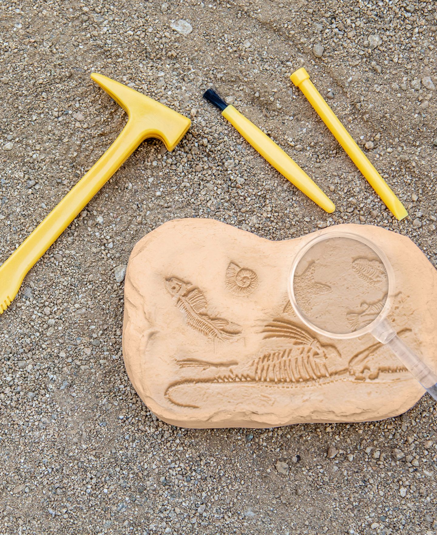 Детские игрушки Educational Insights GeoSafari Jr. Fossil Excavation Kit — фото 6