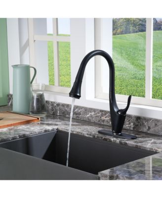 1.8 GPM Pull Down Kitchen Faucet with Deck Plate