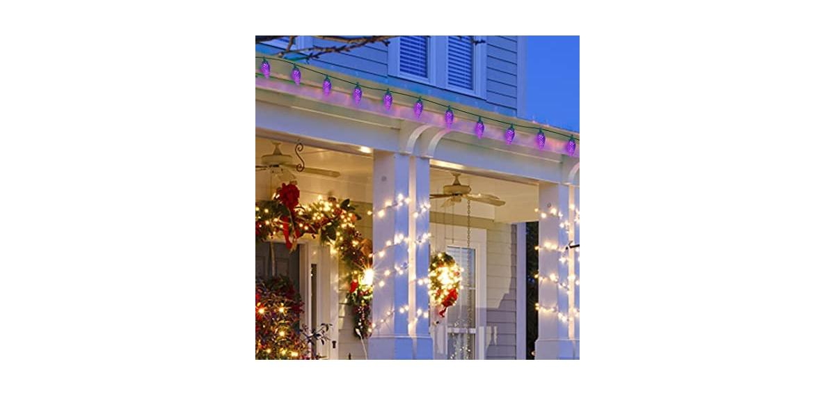 Twinkle Star C9 Christmas Lights 50 Faceted Strawberry String Lights Indoor Outdoor - 24.5 ft