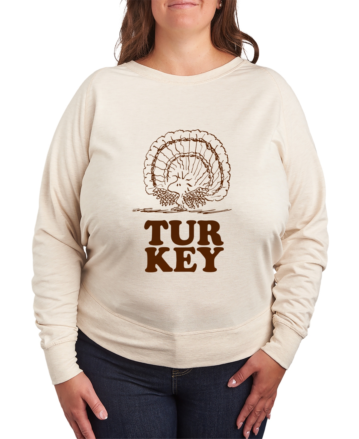 Plus Size Peanuts Turkey Graphic Pullover Top - Beige/Khaki