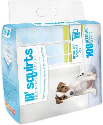Lil Squirts: Training Pads - 100ct