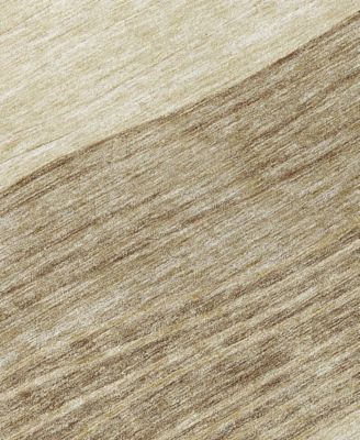 Chantille Machine Washable ACN735 2'6"x3'10" Area Rug