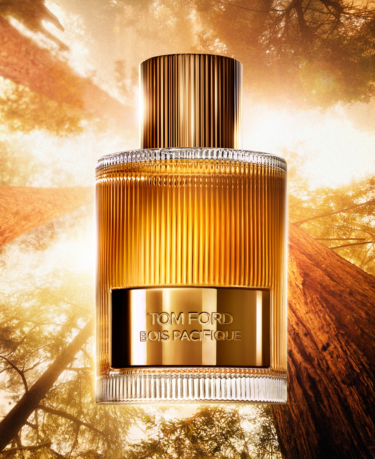 Tom Ford Bois Pacifique Men's Eau De Parfum, 3.4 Oz. In No Color