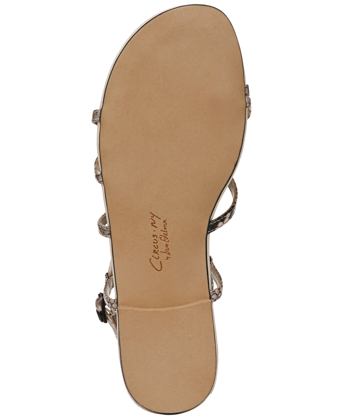 Circus Ny By Sam Edelman Rebecca Strappy Flat Sandals In Mocha Snake Multi