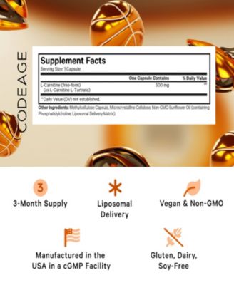 Liposomal L-Carnitine+ Supplement, 500 mg L-Carnitine L-Tartrate per Serving - Free-Form Amino Acid, Carnitine, Liposomal Delivery 90 Capsules