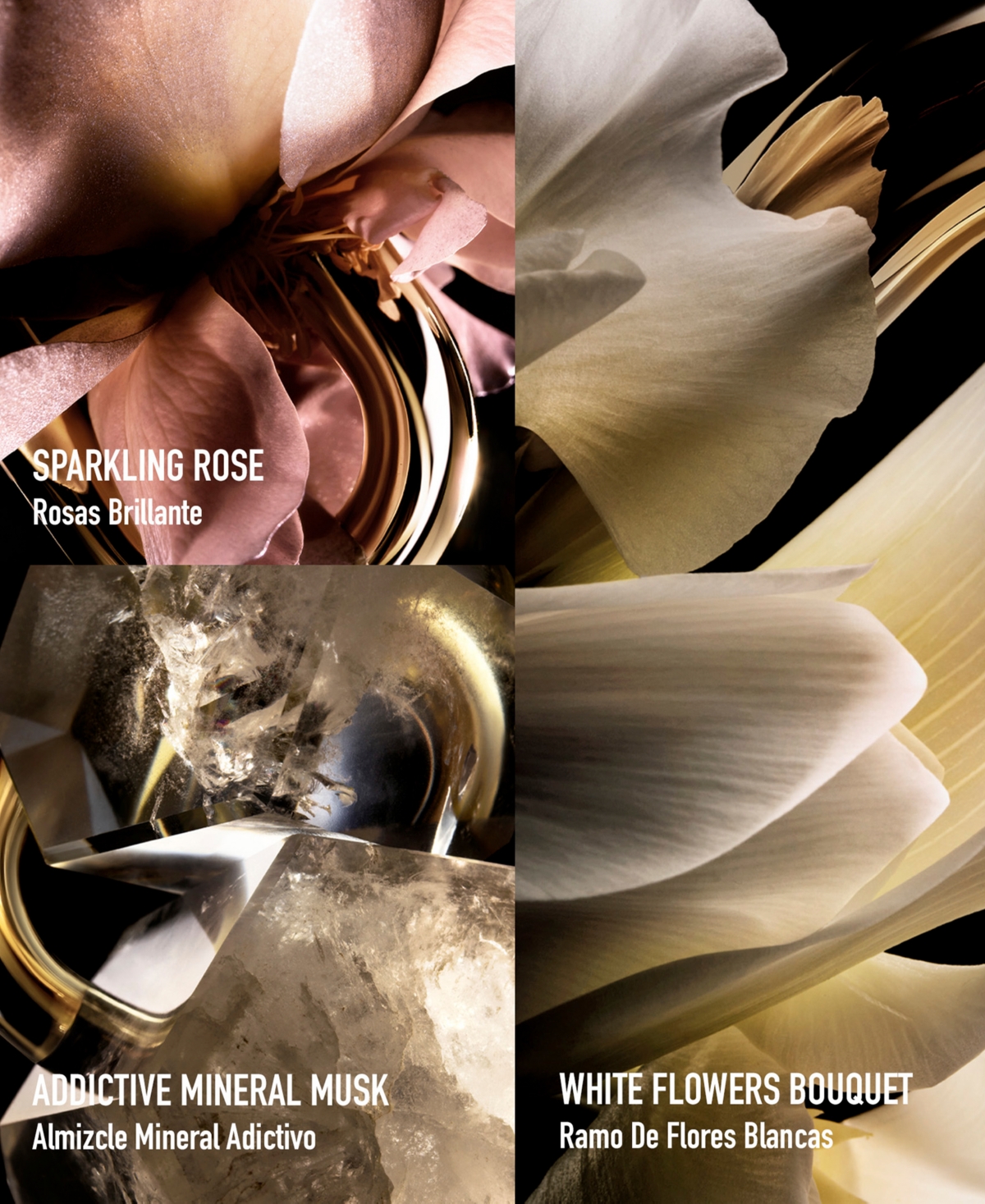 Rabanne Million Gold For Her Perfumed Body Lotion, 6.8 Oz. In No Color