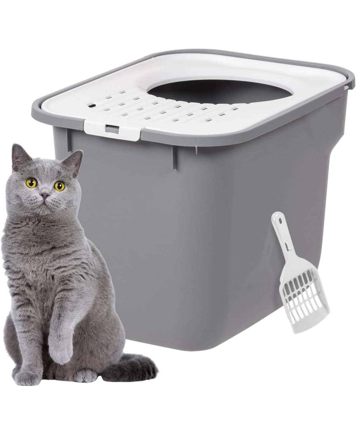 Square Top Entry Cat Litter Box with Scoop, Gray/White - Grey