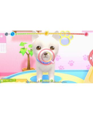 Pups & Purrs Animal Hospital - Switch