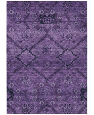 Chantille Machine Washable ACN842 8'x10' Area Rug