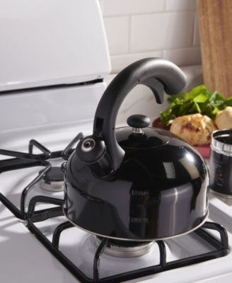 Stainless Steel 2.5-Liter Tea Kettle