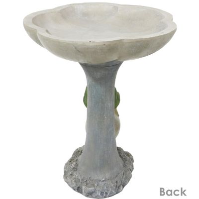 Brooding Frog on a Stone 22-Inch H Polyresin Bird Bath