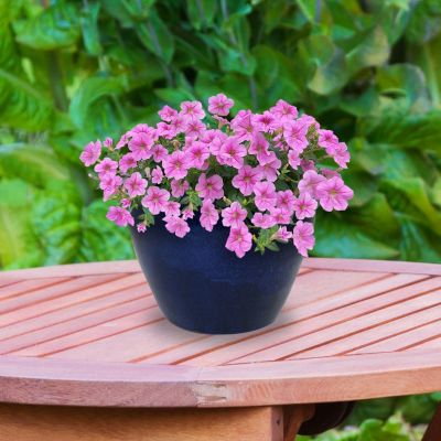 Chalet Outdoor/Indoor High-Fired Glazed UV- and Frost-Resistant Ceramic Planter with Drainage Holes - 15" Diameter