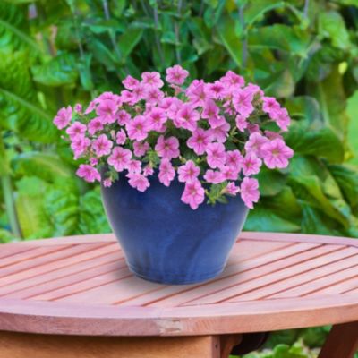 Large Ceramic Planter - Indoor or Outdoor Plant Pot with Drainage Holes - Imperial Blue Glaze Finish - 18" - Studio