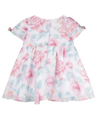 Baby Girl Floral Organza Dress
