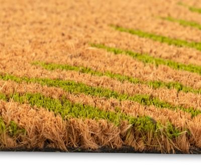 Natura Palm Border 1'6"x2'6" Area Rug