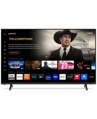 Vizio