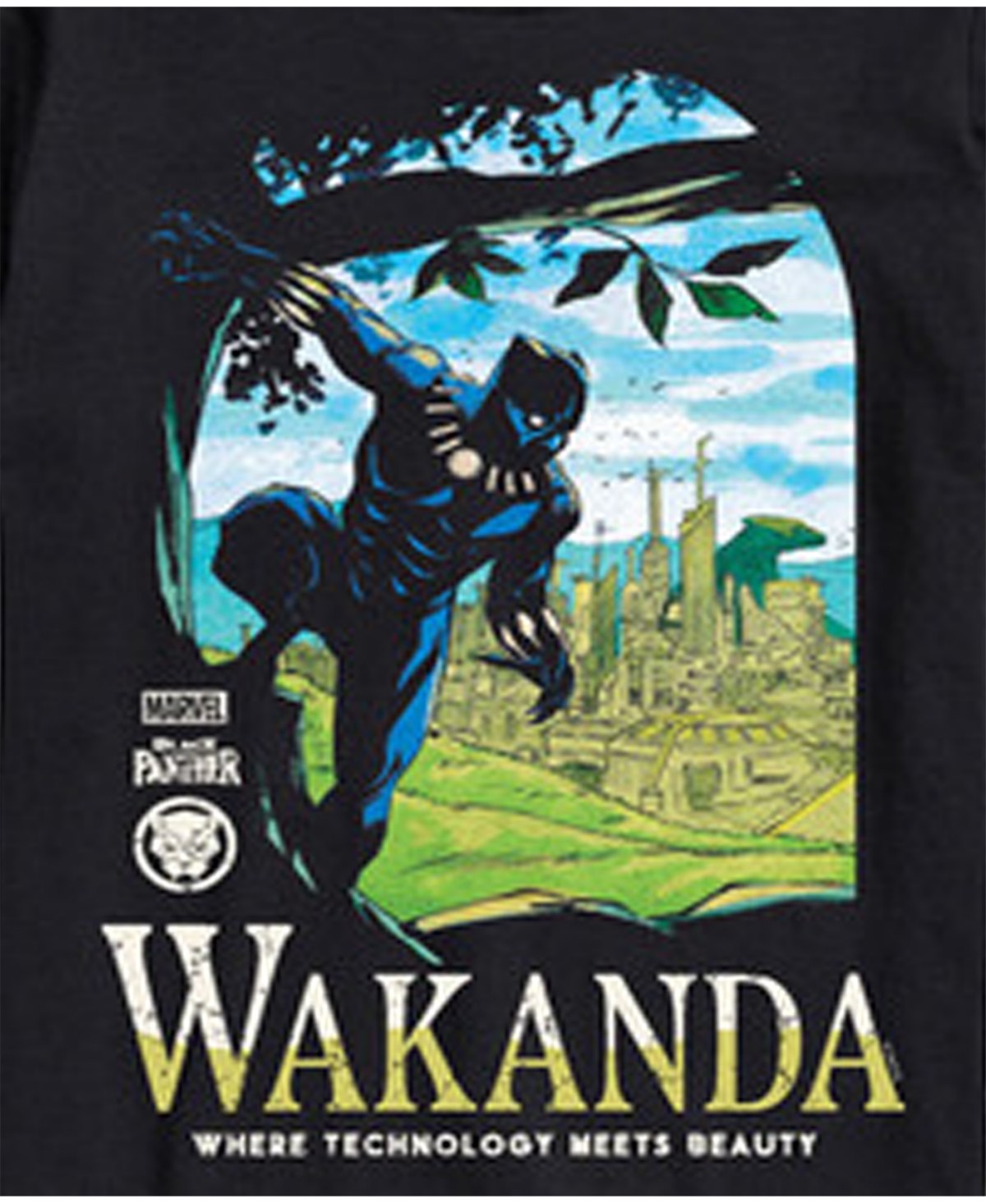 Airwaves Men's Black Panther Wakanda Long Sleeve T-shirt In Black