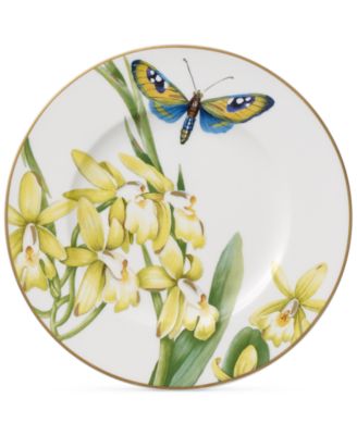 Amazonia Collection Bone Porcelain Bread & Butter Plate