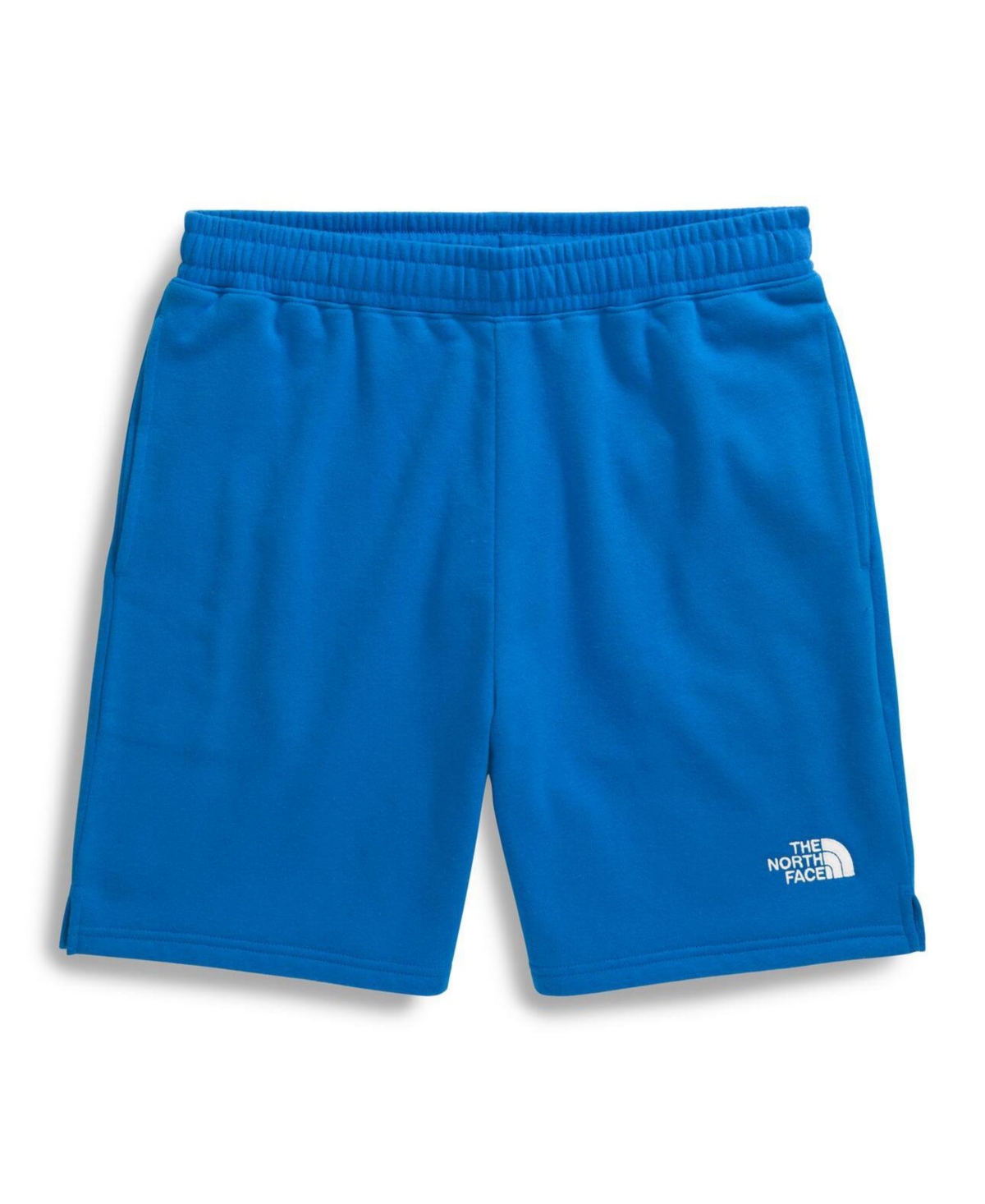 THE NORTH FACE MEN'S EVOLUTION SHORTS 