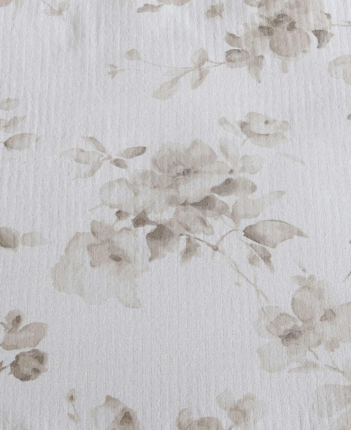 Calvin Klein Spring Branches Cotton Jacquard 3-pc. Comforter Set, Queen In Ivory,beige