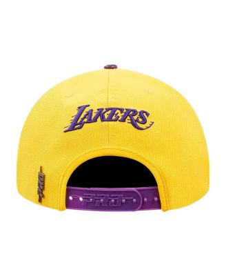 Men's Gold/Purple Los Angeles Lakers Logo Morph Snapback Hat