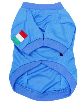 Italy Team Dog Jersey