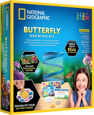 Butterfly Growing Kit