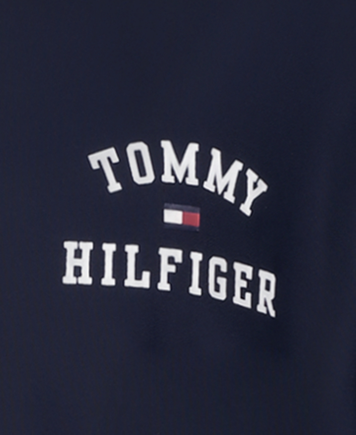 Tommy Hilfiger Big Boys Short Sleeve T-shirt In Navy Blazer