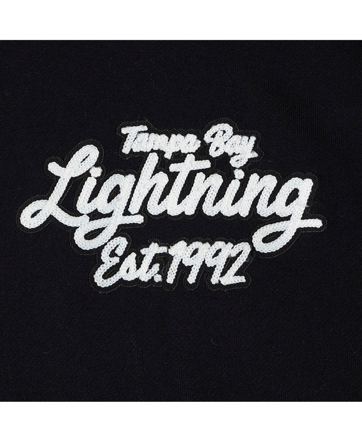 Pro Standard Men's Black Tampa Bay Lightning Paint The City Pullover Hoodie In Black