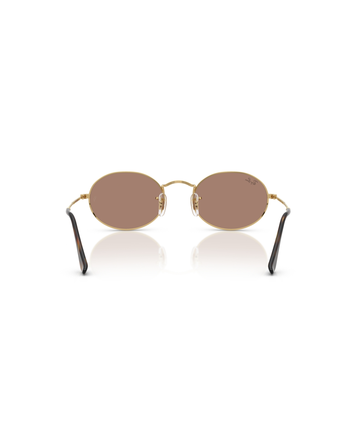 Ray Ban Ray-ban Sunglasses In Arista Gold
