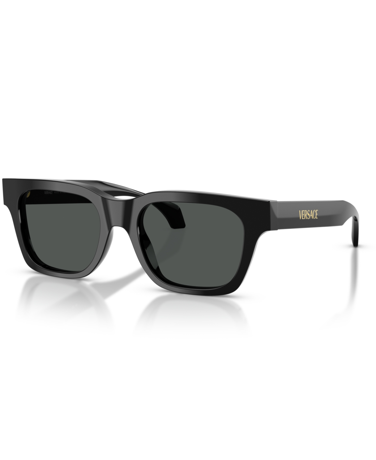 Men's Large Sunglasses, VE4486 - Black