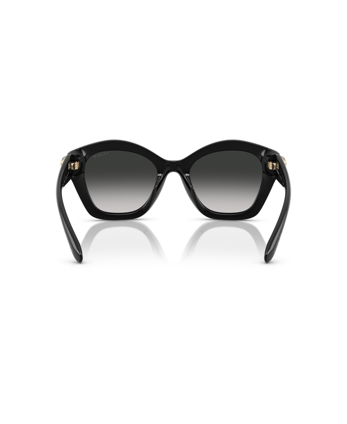 Женские солнцезащитные очки COACH Large Sunglasses, CAD31 HC8421U, цвет: Чёрный — фото 3