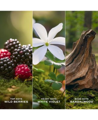 Daisy Eau de Toilette Spray, 3.3 oz.