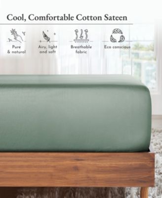 Deep Pocket Twin XL Fitted Sheet Only - Soft 100% Cotton Sateen