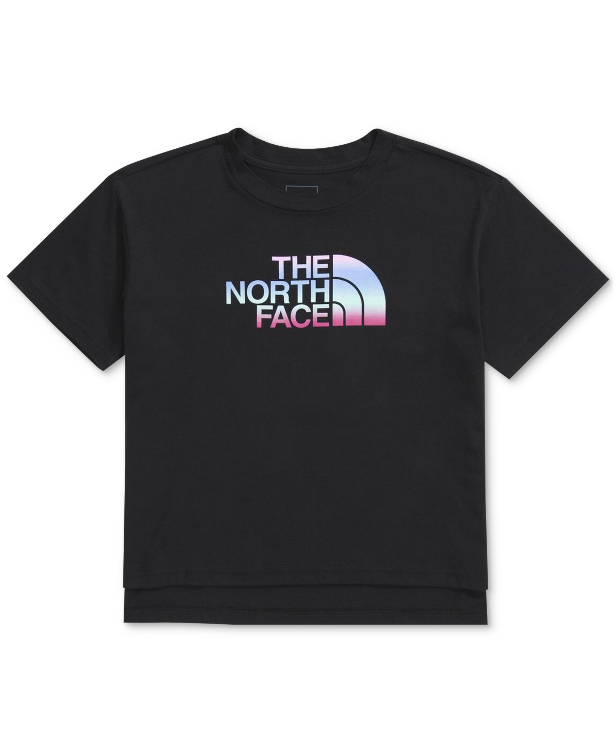 The North Face Big Girls Gradient Half Dome Graphic Cotton T-shirt In Tnf Black
