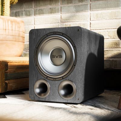 PB-1000 Pro Ported Subwoofer (Premium Black Ash)