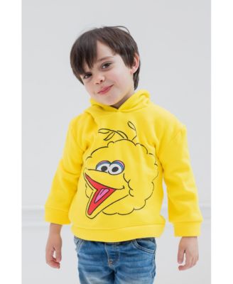 Baby Boys Fleece Pullover Hoodie