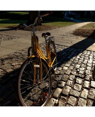 16mm f/1.4 DC DN Contemporary Lens for Canon RF