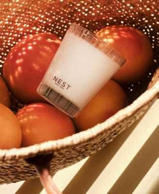 Grapefruit Classic Candle, 8.1 oz.