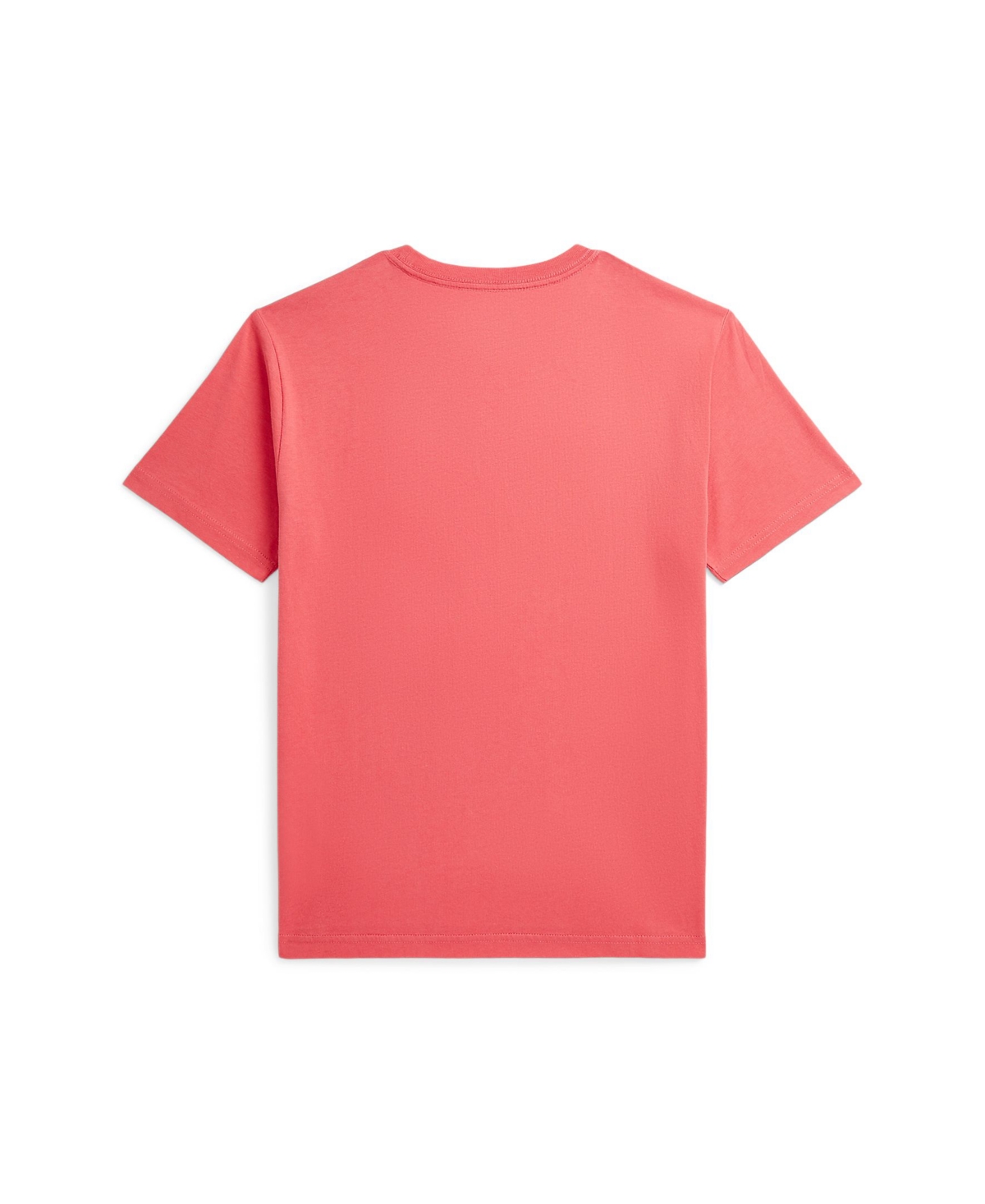 Polo Ralph Lauren Big Boys Madras-logo Jersey T-shirt In Red Sky