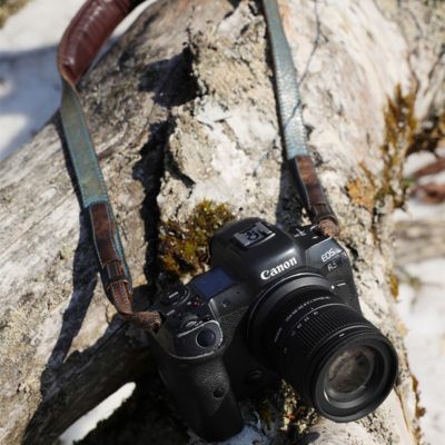 18-50mm f/2.8 DC DN Contemporary Lens for Canon RF