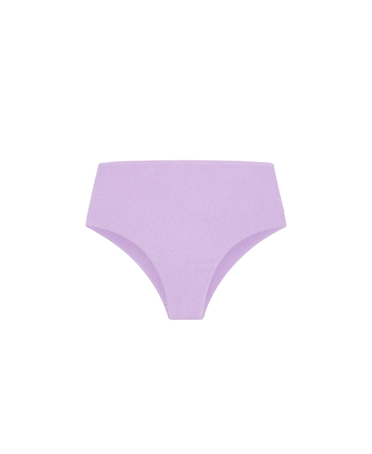 Plus Size Izzy Hi Waist Bikini Brief - Purple
