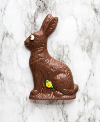 Milk Chocolate Solid Easter Bunny, 8oz
