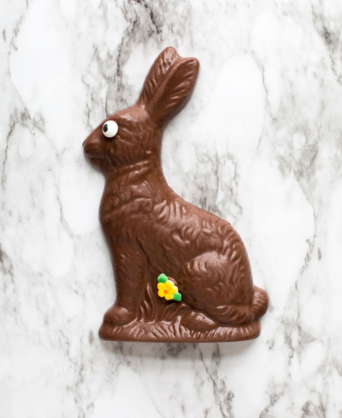 Sugar Plum Chocolates Milk Chocolate Solid Easter Bunny, 8oz In No Color